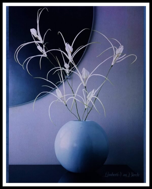 IMG11516 Mirror Still Life